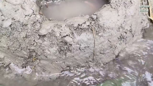 Find colorful ornamental fish, koi fish, catfish, betta fish, channa fish, ducks, turtles смотреть онлайн