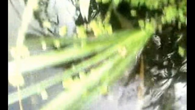 Вчера сходили на рыбалочку... смотреть онлайн