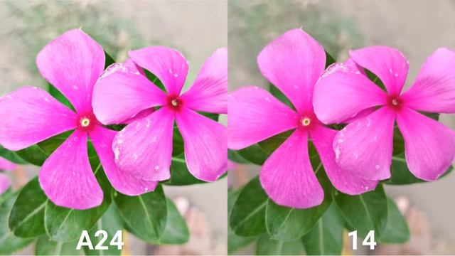 samsung Galaxy A24 vs iPhone 14 camera test смотреть онлайн