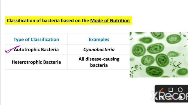 Classification of bacteria | Types of bacteria | In Hindi | #bacteria смотреть онлайн