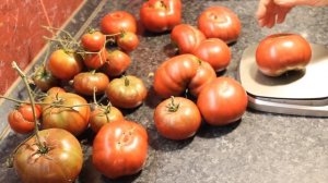 Томат " Козуля 24"