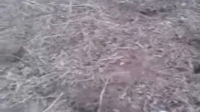 Коп на старой мельнице Ноябрь сезон 2014 года. Чеховский район р. Рожайка смотреть онлайн