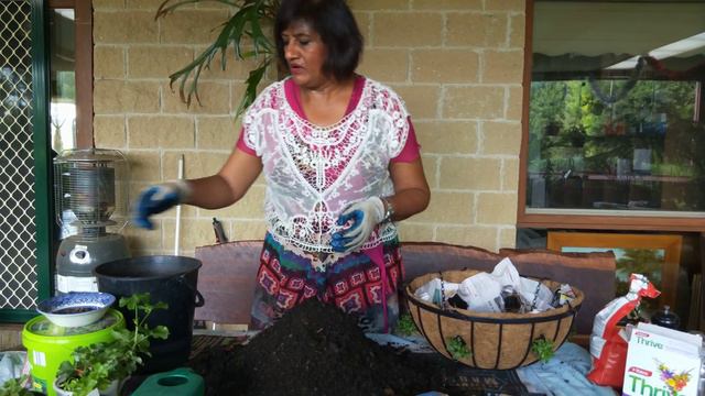 Hanging basket for winter colour смотреть онлайн