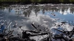 Россия перед Вторым Пришествием. Пророчества русских святых. 1 часть.