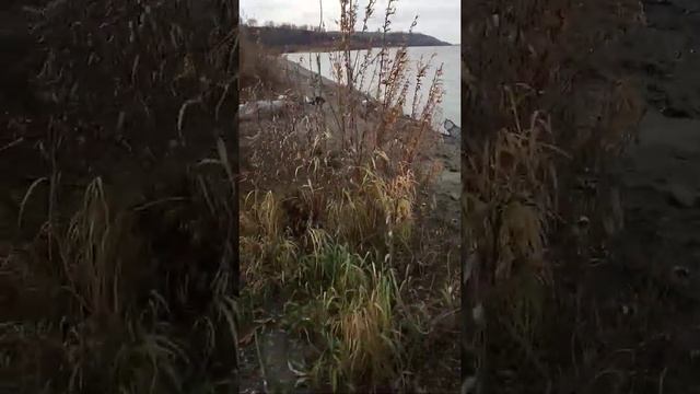 Рыбалка в Барнауле на Оби смотреть онлайн