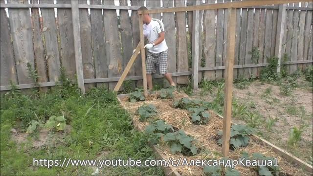 Шпалера своими руками для огурцов смотреть онлайн