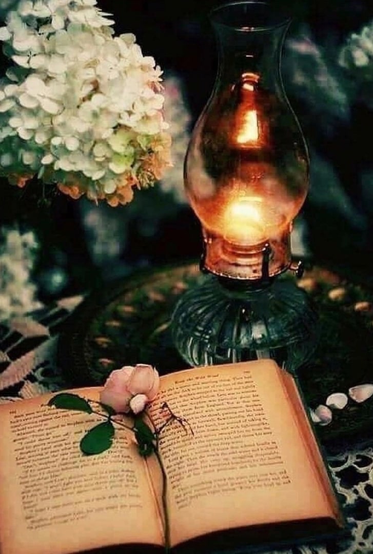 Самого Приятного Вечера! Спокойной ночи! Красивое пожелание Доброго Вечера!