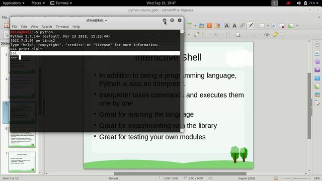 Python Interactive shell смотреть онлайн
