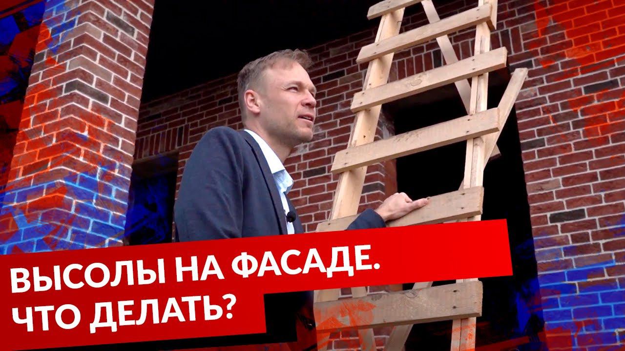 ВЫСОЛЫ НА ФАСАДЕ. ЧТО ДЕЛАТЬ? смотреть онлайн