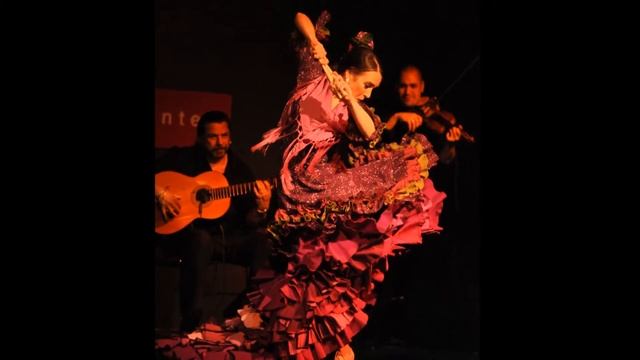 Pasodoble F (видеодекорация для выступления) смотреть онлайн