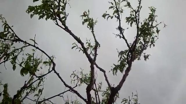 Армения-Алашкерт.Армавирский марз смотреть онлайн