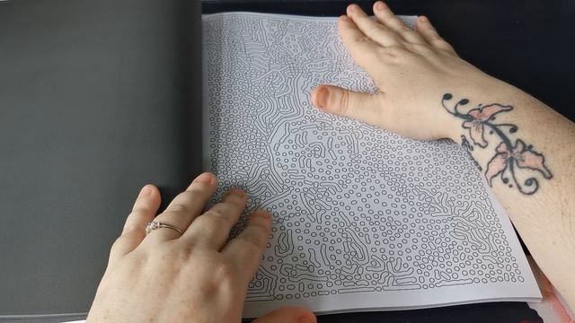 Flip Through | Mystery Lines, Dots and Spots (3 Books) ~ Kira Shershneva смотреть онлайн