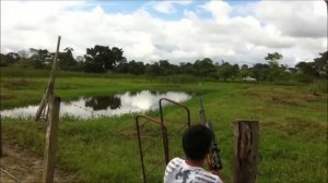 Охота на уток с PCP пневматикой