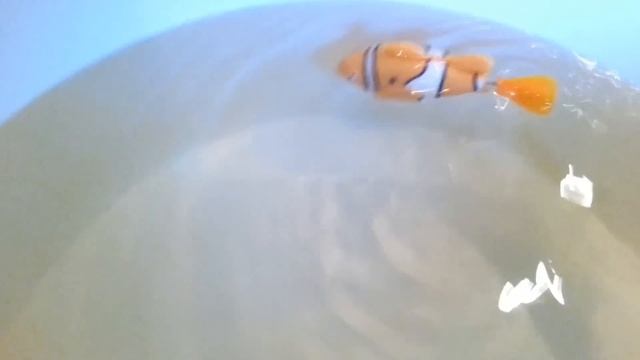 Обзор робо-рыбки (robo-fish)