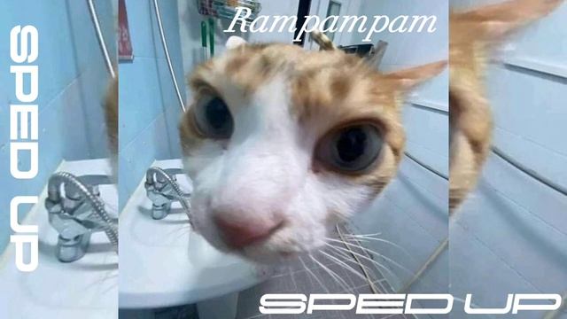 Rampampam - Minelli (sped up) смотреть онлайн