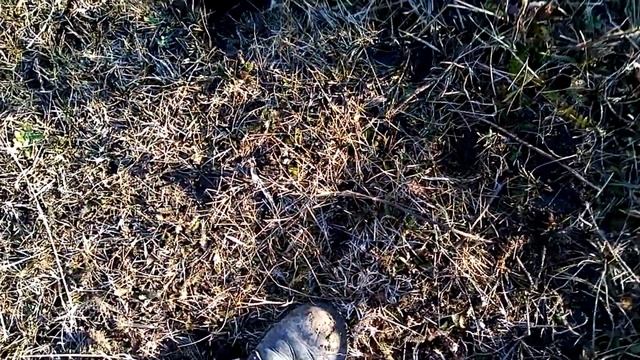 Боевой снаряд под Ставрополем смотреть онлайн