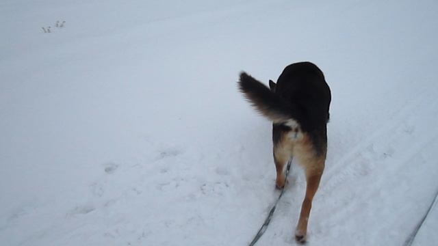 видео.ГРАФ (3) смотреть онлайн