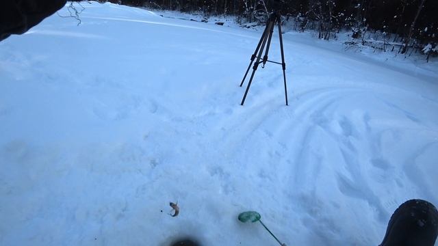 Рыбалка в глухозимье. Река Кубена. 22.02.2023.