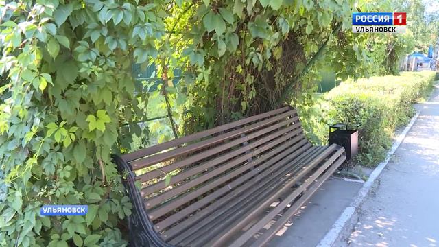 Винновка празднует день рождения! смотреть онлайн