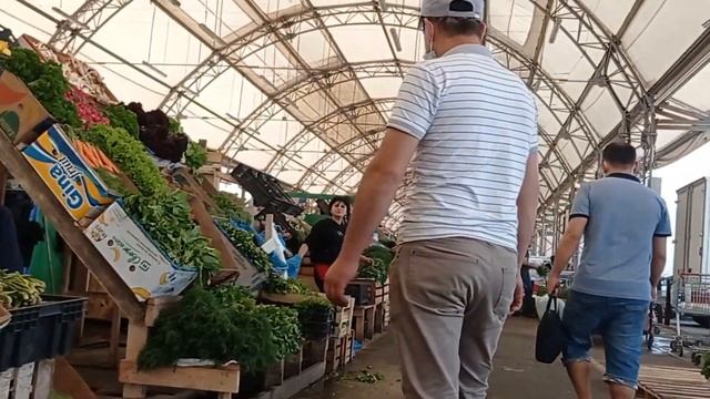 Грибные проводники