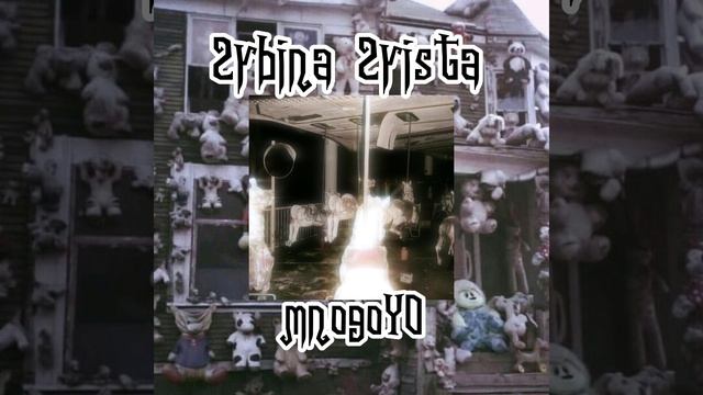 многоYO - 2rbina 2rista Speed Up