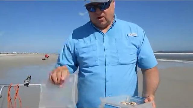 Ladies, Let's Go Fishing: Sand Fleas (Surf Fishing 2019) смотреть онлайн