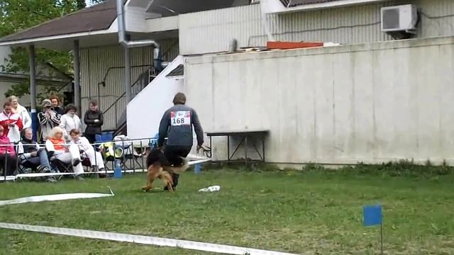 №168 Tim v d Orangerie смотреть онлайн