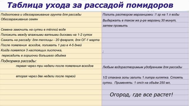 Таблица по уходу за рассадой помидоров