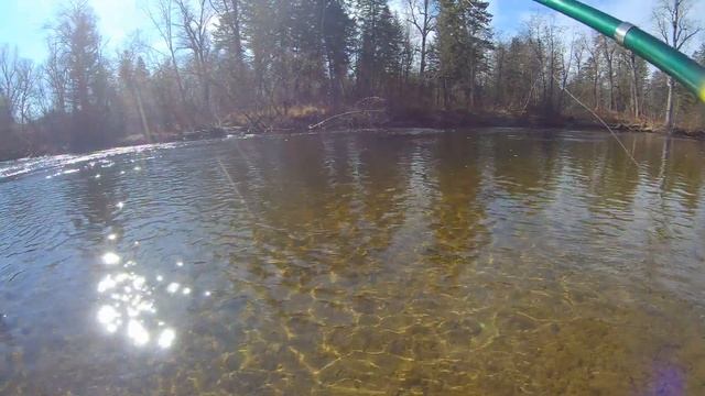 Бешеный клёв на реке Кур .День 1. смотреть онлайн