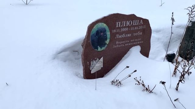 ОФИЦИАЛЬНОЕ СТОЛИЧНОЕ КЛАДБИЩЕ ДОМАШНИХ ЖИВОТНЫХ В МОСКВЕ | ГДЕ И КАК ХОРОНИТЬ ПИТОМЦА |PET CEMETER смотреть онлайн