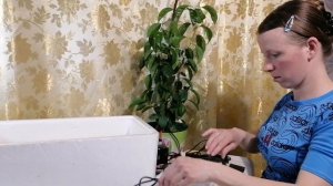 Сколько воды нужно долить на 5-й день инкубации/Проверка воды в инкубаторе Несушка на 36 яиц