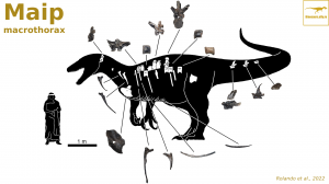 Маип — Динозавры