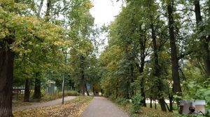 Маленькая побирушка обменяла свой рисунок на объедки у повара ресторана… Мужчин обмер увидев что та