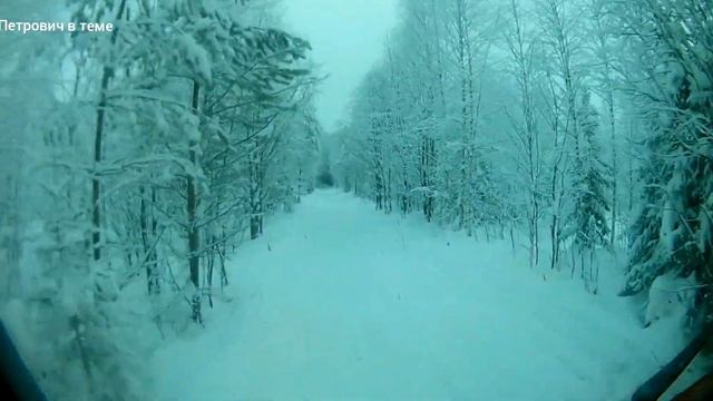 КамАЗ лесовоз,волки ходят как в зоопарке. смотреть онлайн