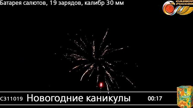 С059025 Новогодние каникулы - фейерверки и салюты в Новосибирске в КОЛОРЛОН ВТД смотреть онлайн