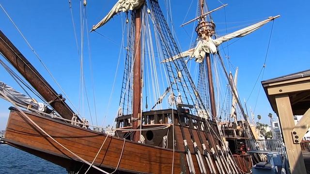 САН ДИЕГО. ГОРОД С МОРСКИМИ КОТИКАМИ. смотреть онлайн