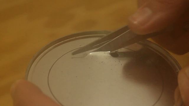 Homemade Mini Wood Stove Dor Camping: ultra-compact смотреть онлайн