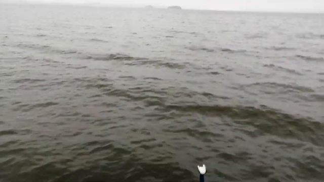 оз.Исетское г.Среднеуральск День единства народов России смотреть онлайн