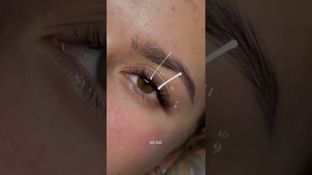 Наращивание ресниц спб #ресницы #красота #наращиваниересниц #lashes #контент #ресницыспб #новости смотреть онлайн