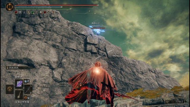 ELDEN RING (侵入) 3人出待ちの馬鹿ども！お前らの死因は「転落死」だ！　Your cause of death is 'death by fall'! смотреть онлайн