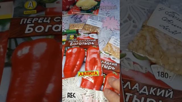 ?ПЕРЕЦ Болгарский какие семена выбрать для отличного урожая? #перец #семена #огород #рассада смотреть онлайн