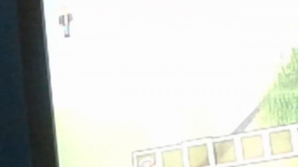 Minecraft the culling