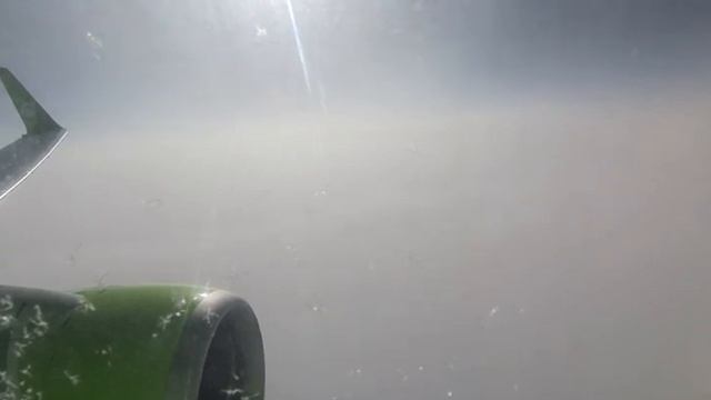 S7 Airlines, Boeing 737-800, Новосибирск - Москва смотреть онлайн
