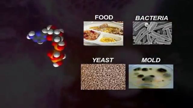 Hygiena ATP Hygiene Monitoring For Food Safety