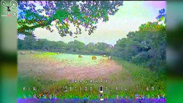 DraShark / Baby Shark HGLRC 1S racer - Review Test Démo - Etonnant ! смотреть онлайн