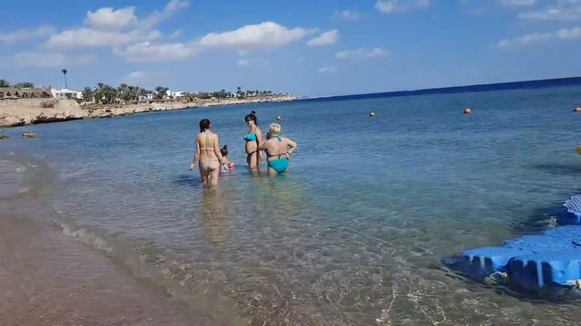 Шла ПО МОРЮ🌊Пробралась на СОСЕДНИЙ ПЛЯЖ🌴 смотреть онлайн