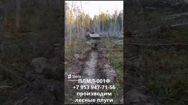 Плуг лягушка ПЛМЛ-001Ф Леспромресрус в работе на ТДТ-55 смотреть онлайн