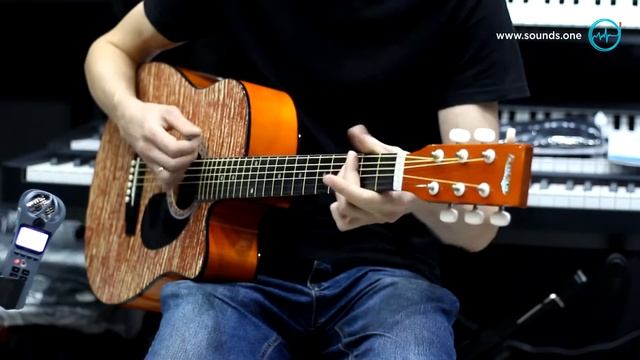 Homage LF-3800CT-N - пример звучания недорогой китайской гитары | sound test demo смотреть онлайн