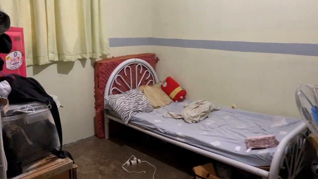 Чувственные Линии