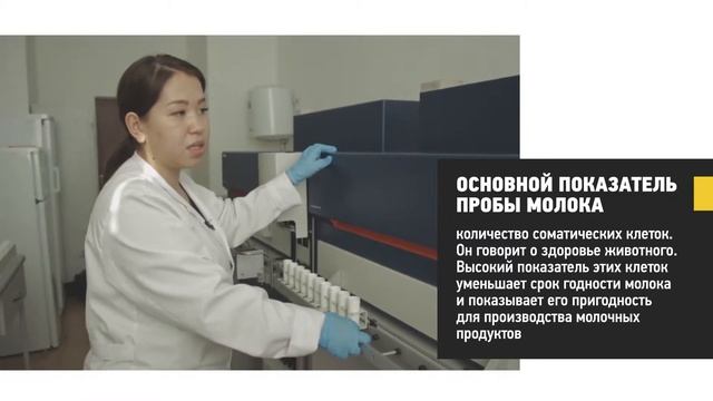 Отбор и исследование проб молока смотреть онлайн